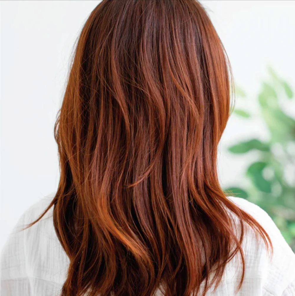 Colour + Clenditioner Auburn 355ml - Image 2