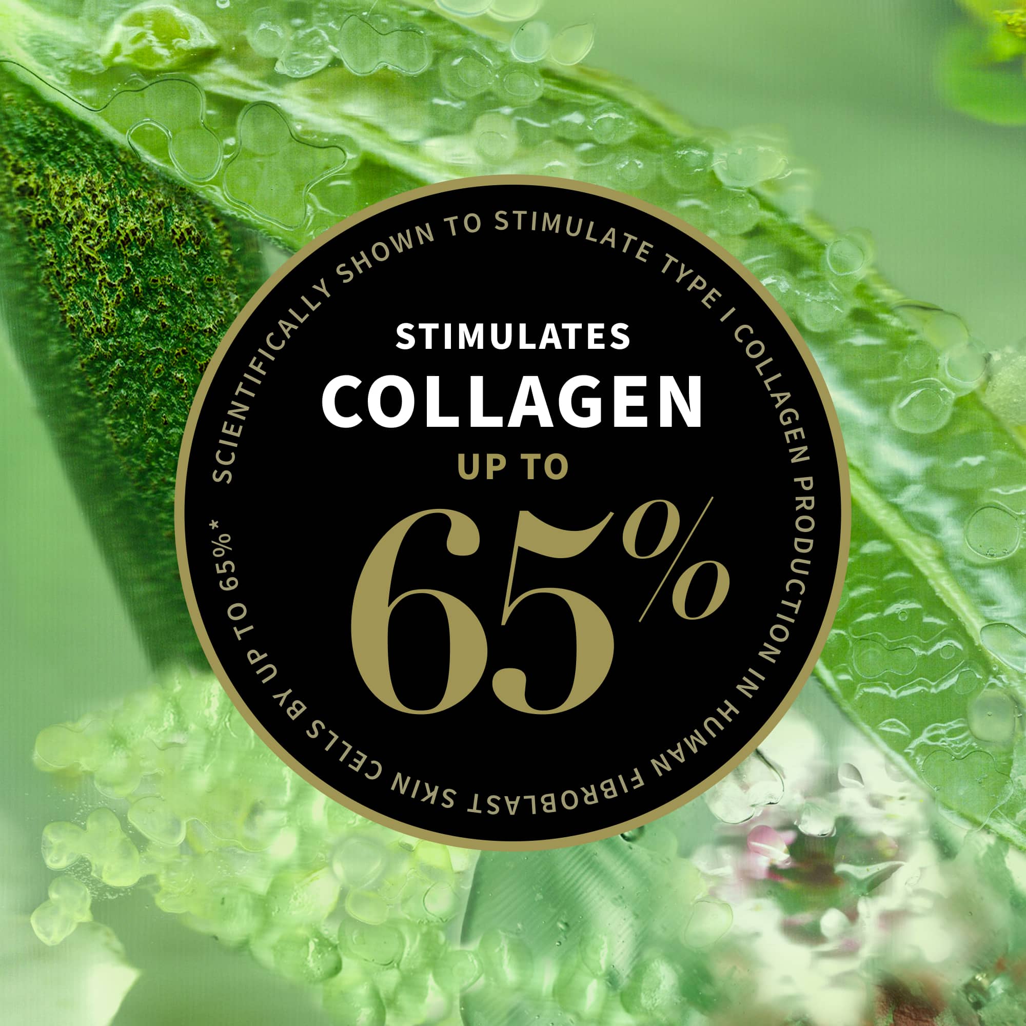 Lime Caviar Collagen-Rich Firming Cream 60ml - Image 2
