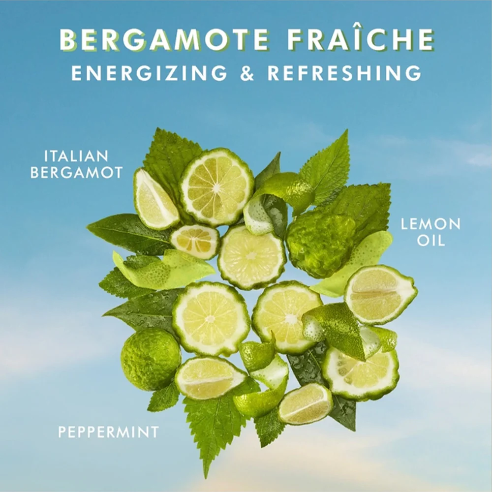 Hand Cream Bergamote Fraiche 100ml - Image 3