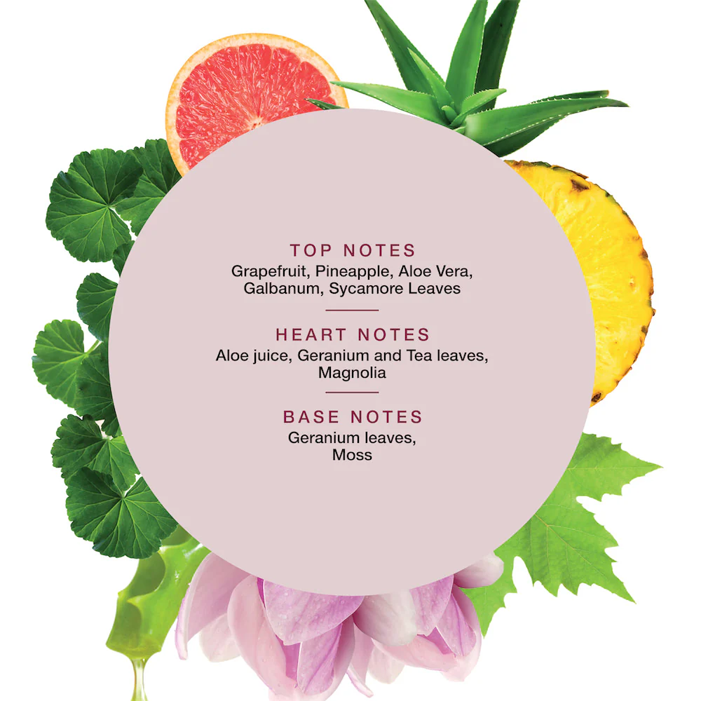 Scalp Habit Purifying Scrub 200ml - Image 5