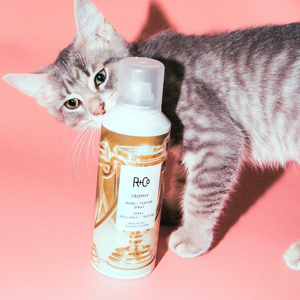 TROPHY Shine + Texture Spray 198ml - Image 2