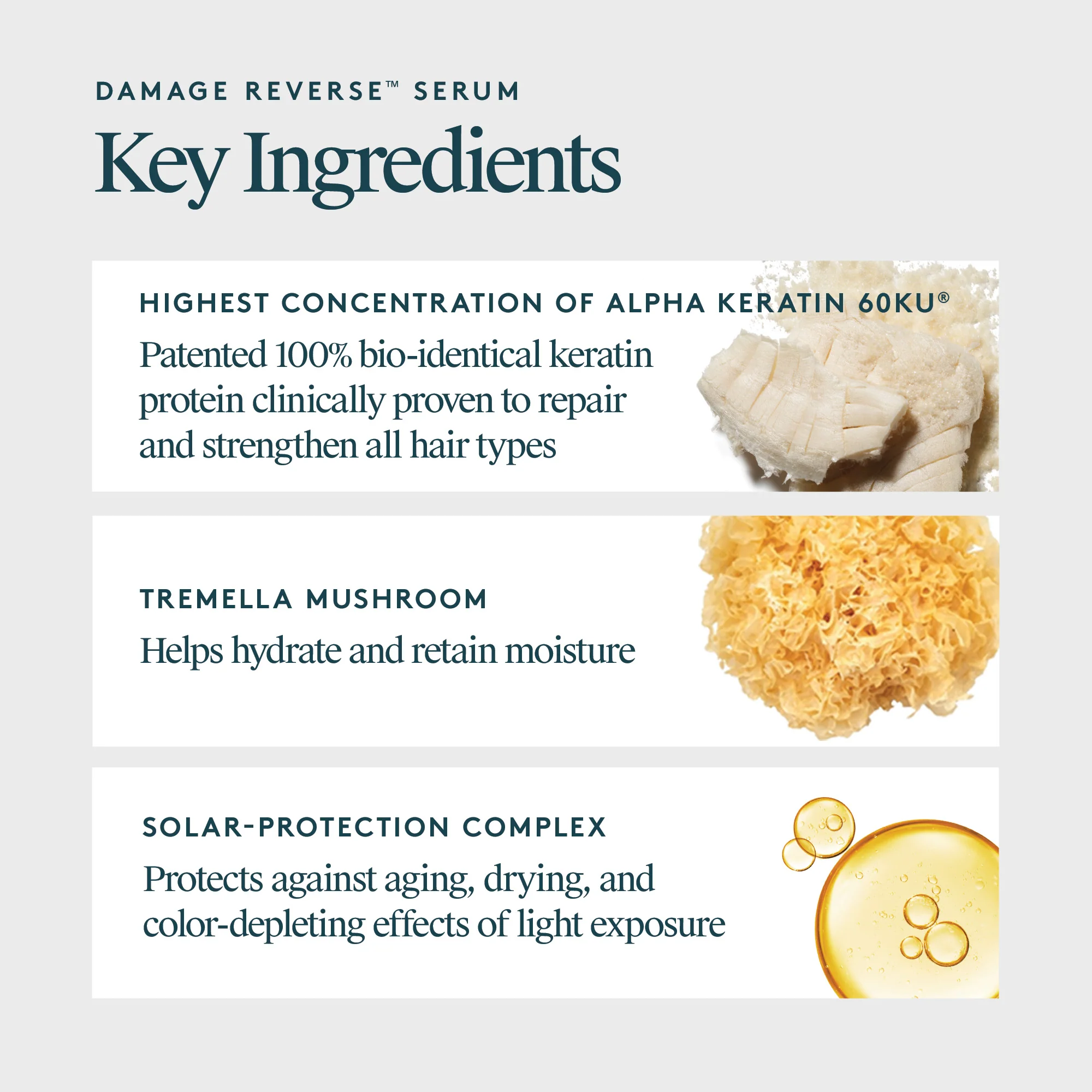 Damage Reverse Serum 50mL - Image 10