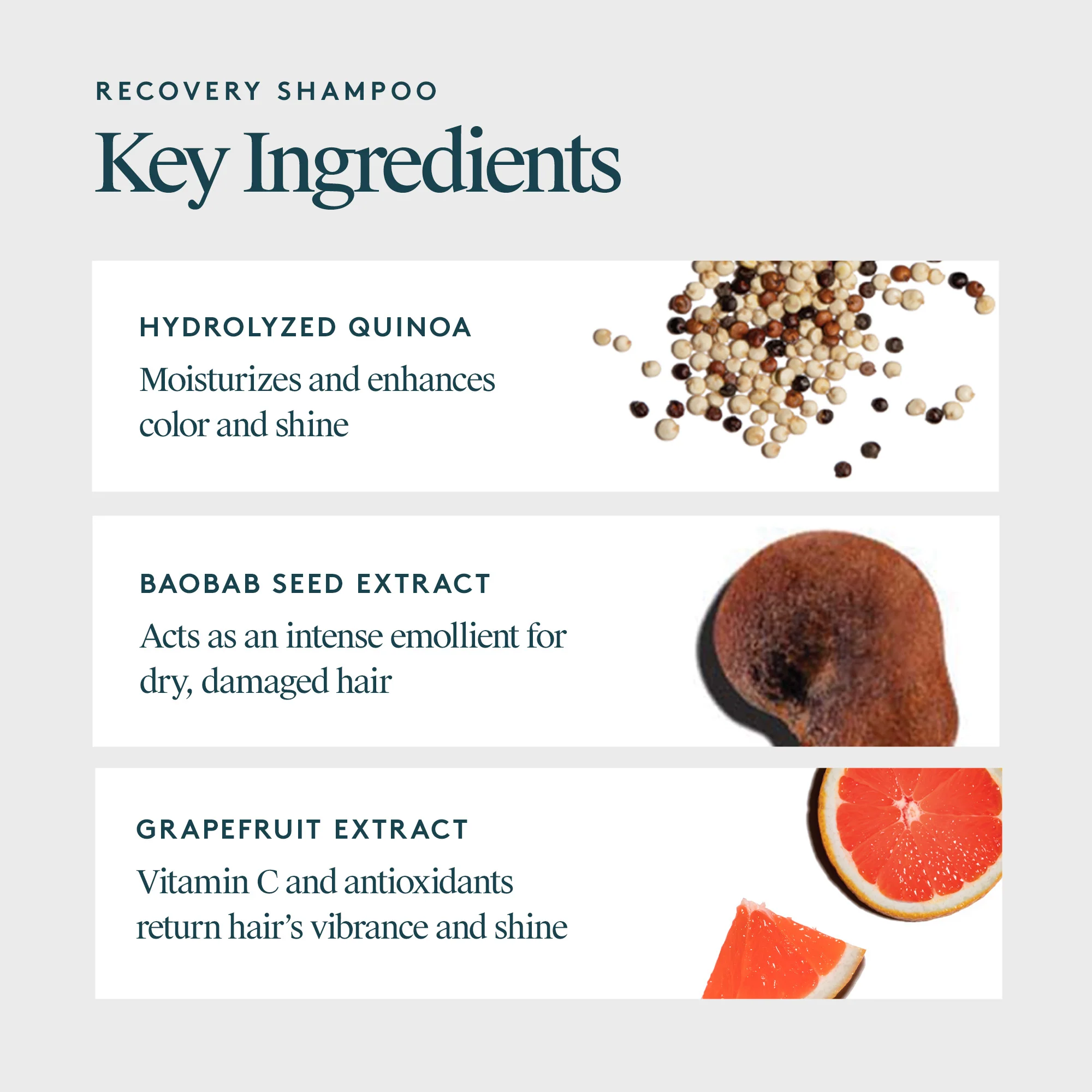 Recovery Shampoo 500ml - Image 9